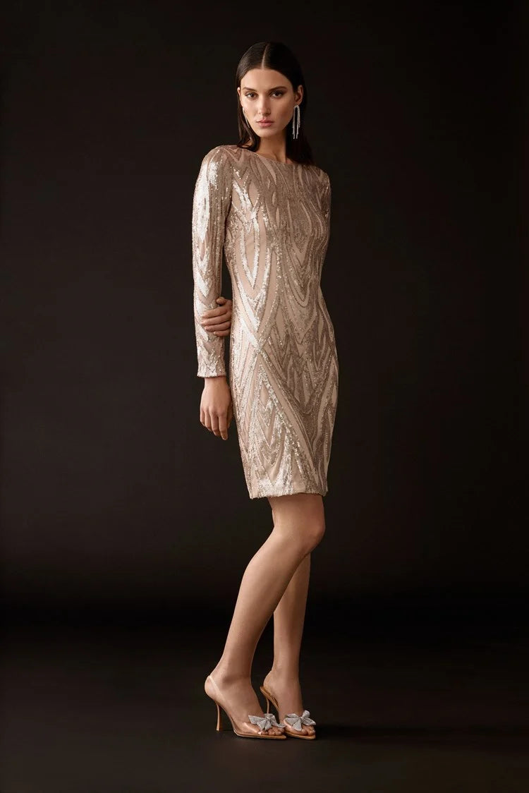 Placement Sequins Sheath 243774 Sequin Dress Chic